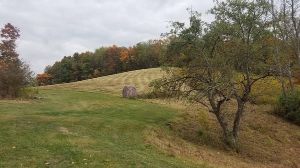 HLRBO Armstrong,Pennsylvania Hunting Lease 495.00 Per Week