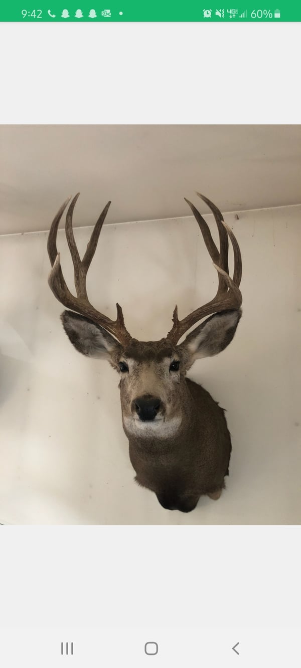 HLRBO McKenzie,North Dakota Hunting Lease 12,500.00 Per Year