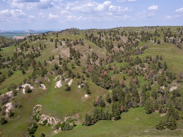 HLRBO Banner,Nebraska Hunting Lease 18,000.00 Per Year