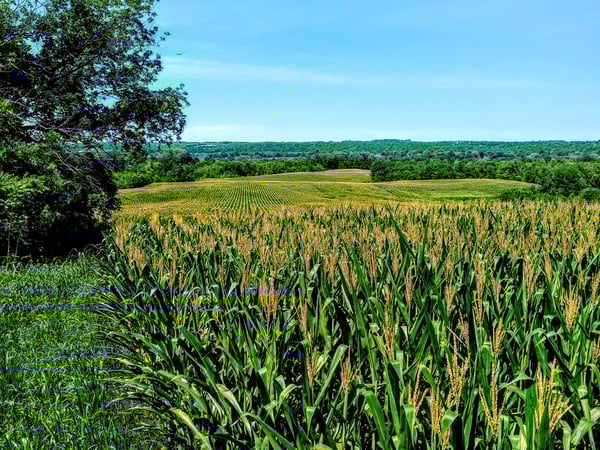 HLRBO Harrison,Indiana Hunting Lease 3,200.00 Per Year