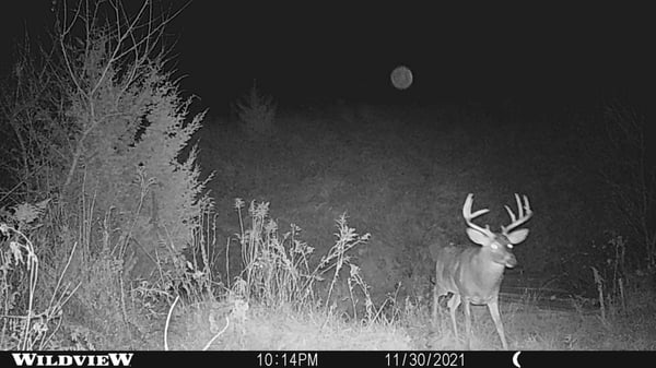 HLRBO Decatur,Iowa Hunting Lease 1,000.00 Per Year