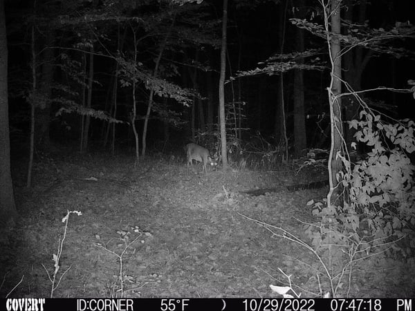 HLRBO Orange,Indiana Hunting Lease 0.00 Per Year