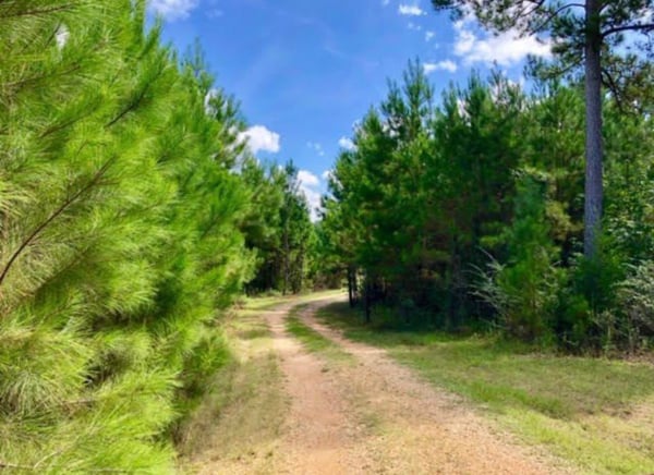 HLRBO Adams,Mississippi Hunting Lease 2,300.00 Per Month