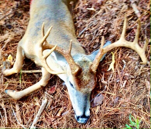 HLRBO Hunting Lease 300.00 Per Day