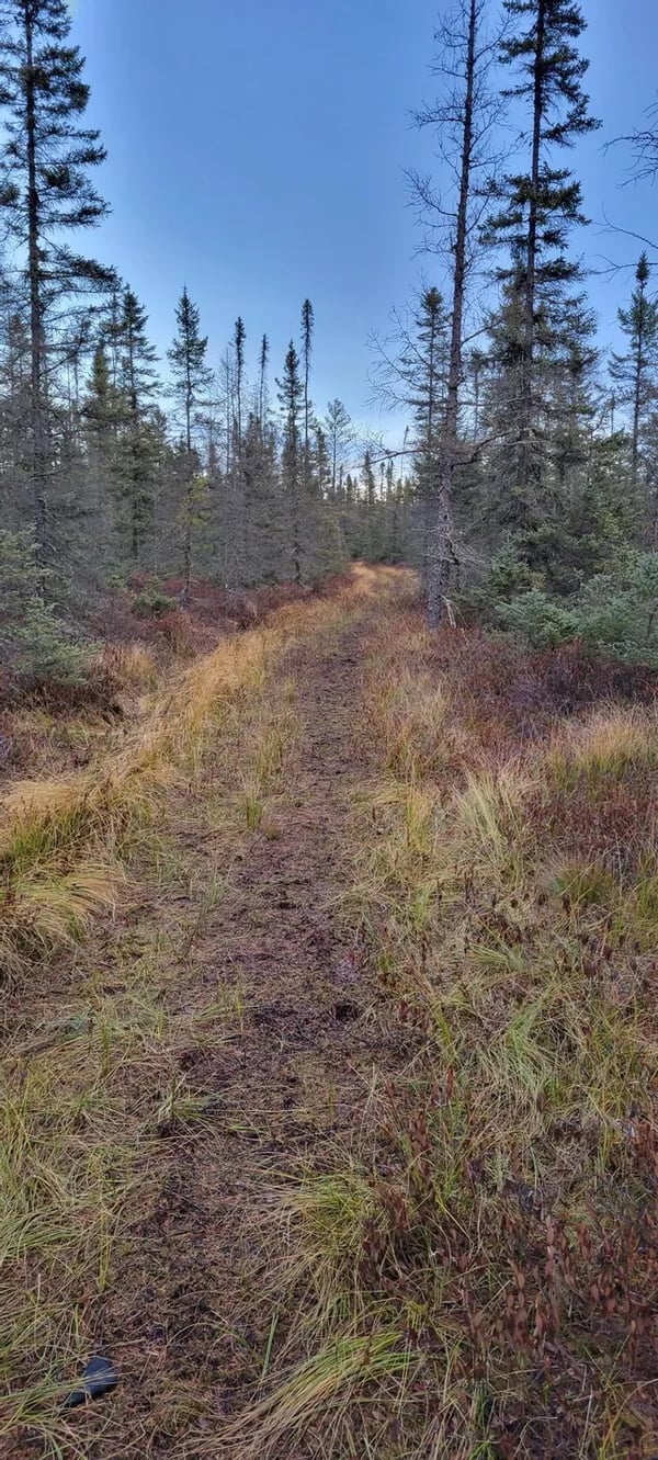 HLRBO St. Louis,Minnesota Hunting Lease 3,657.00 Per Year