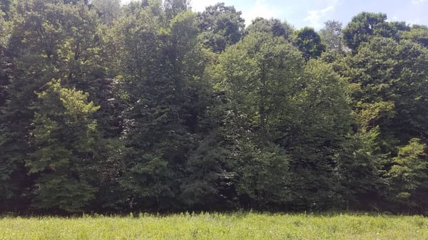 HLRBO Armstrong,Pennsylvania Hunting Lease 495.00 Per Week