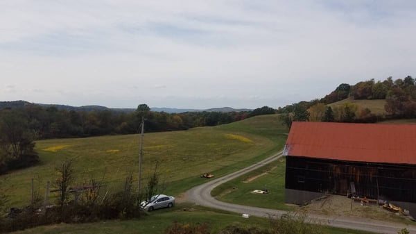 HLRBO Armstrong,Pennsylvania Hunting Lease 495.00 Per Week