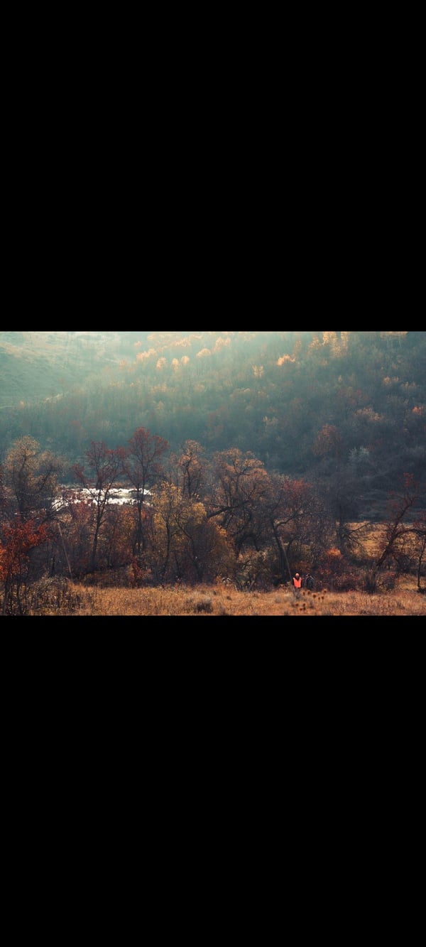 HLRBO McKenzie,North Dakota Hunting Lease 12,500.00 Per Year