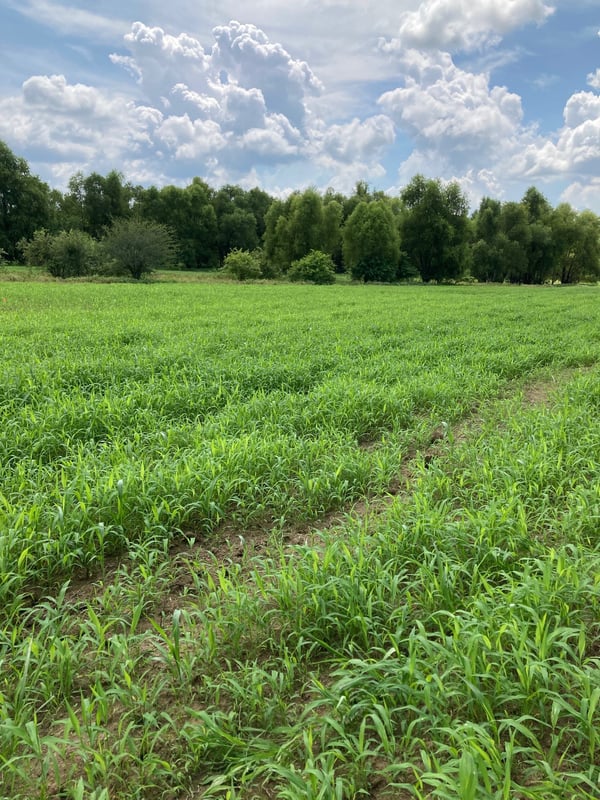 HLRBO Adams,Mississippi Hunting Lease 0.00 Per Year