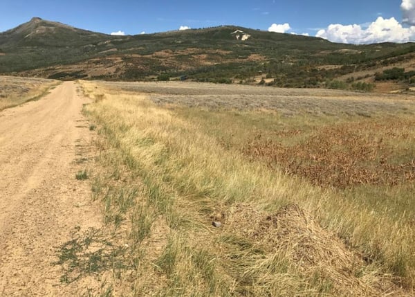 HLRBO Moffat,Colorado Hunting Lease 3,000.00 Per Season