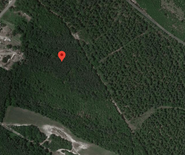 HLRBO Pender,North Carolina Hunting Lease 1,800.00 Per Year