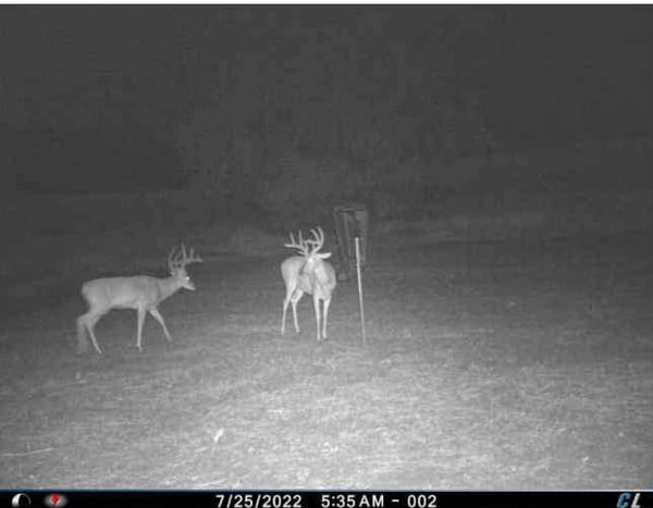 HLRBO Seward,Nebraska Hunting Lease 5,500.00 Per Week