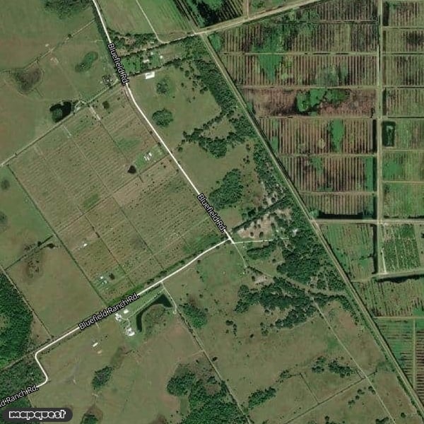 HLRBO Okeechobe,Florida Hunting Lease 8,800.00 Per Year