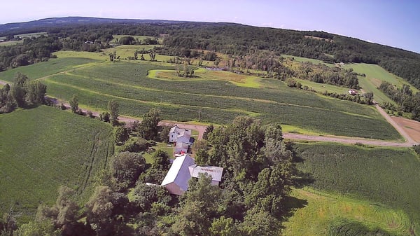 HLRBO Cattaraugus,New York Hunting Lease 1,500.00 Per Year