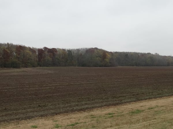 HLRBO St. Francis,Arkansas Hunting Lease 2,500.00 Per Year