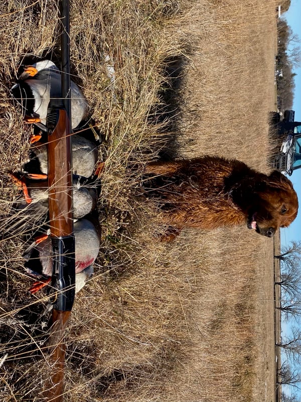 HLRBO Valley,Nebraska Hunting Lease 55,000.00 Per Year