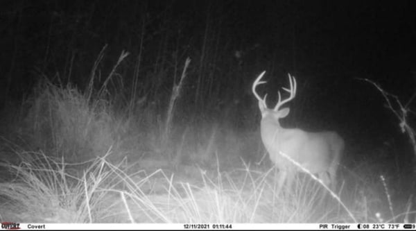 HLRBO Geneva,Alabama Hunting Lease 14,500.00 Per Year