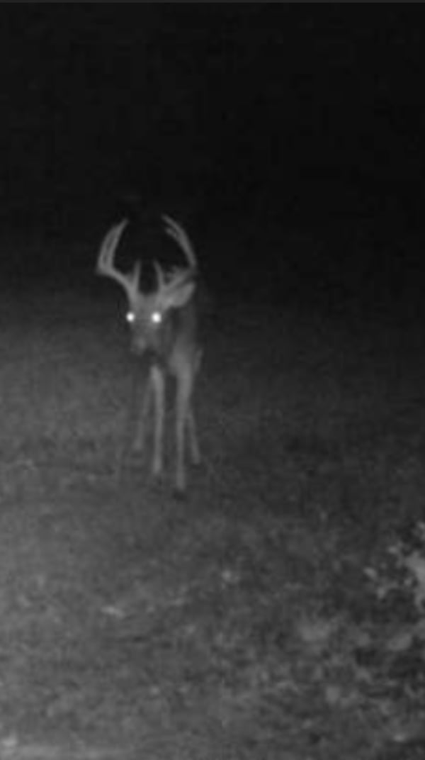 HLRBO Seward,Nebraska Hunting Lease 5,500.00 Per Week