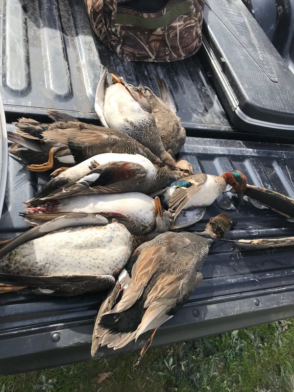 HLRBO Milam,Texas Hunting Lease 20,000.00 Per Year