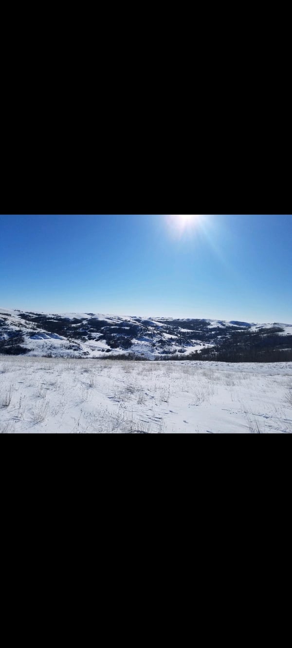 HLRBO McKenzie,North Dakota Hunting Lease 12,500.00 Per Year