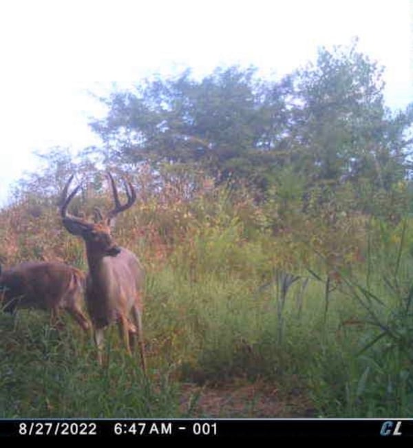 HLRBO Seward,Nebraska Hunting Lease 5,500.00 Per Week