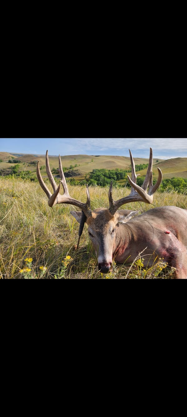 HLRBO McKenzie,North Dakota Hunting Lease 12,500.00 Per Year