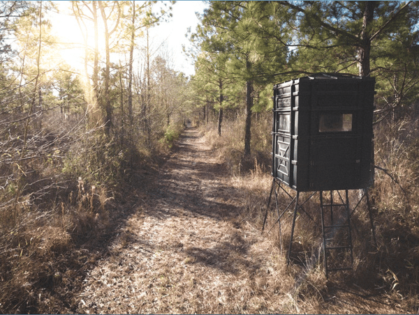 HLRBO Halifax,North Carolina Hunting Lease 2,000.00 Per Season