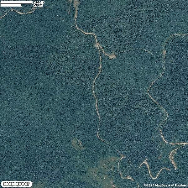 HLRBO Clay,West Virginia Hunting Lease 400.00 Per Year