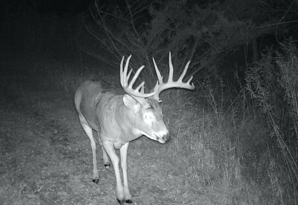 HLRBO Winona,Minnesota Hunting Lease 2,000.00 Per Year