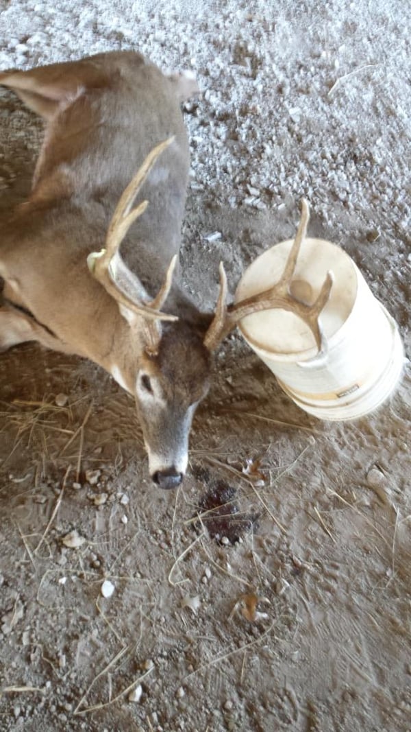 HLRBO Adair,Missouri Hunting Lease 11,000.00 Per Year