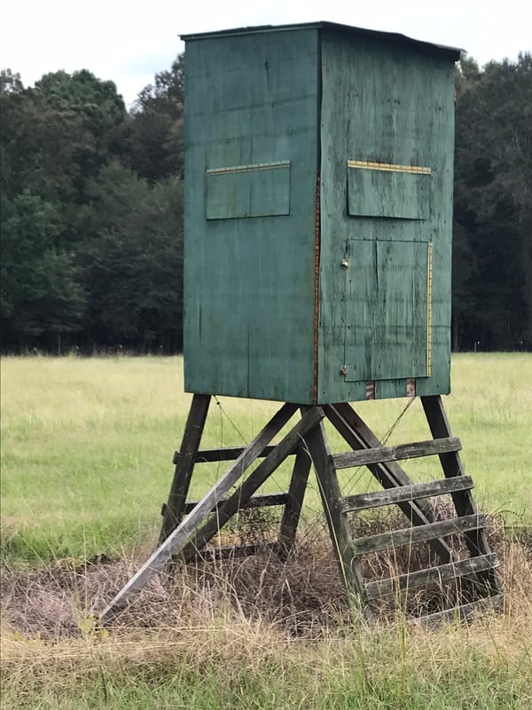 HLRBO San Augustine,Texas Hunting Lease 1,000.00 Per Year