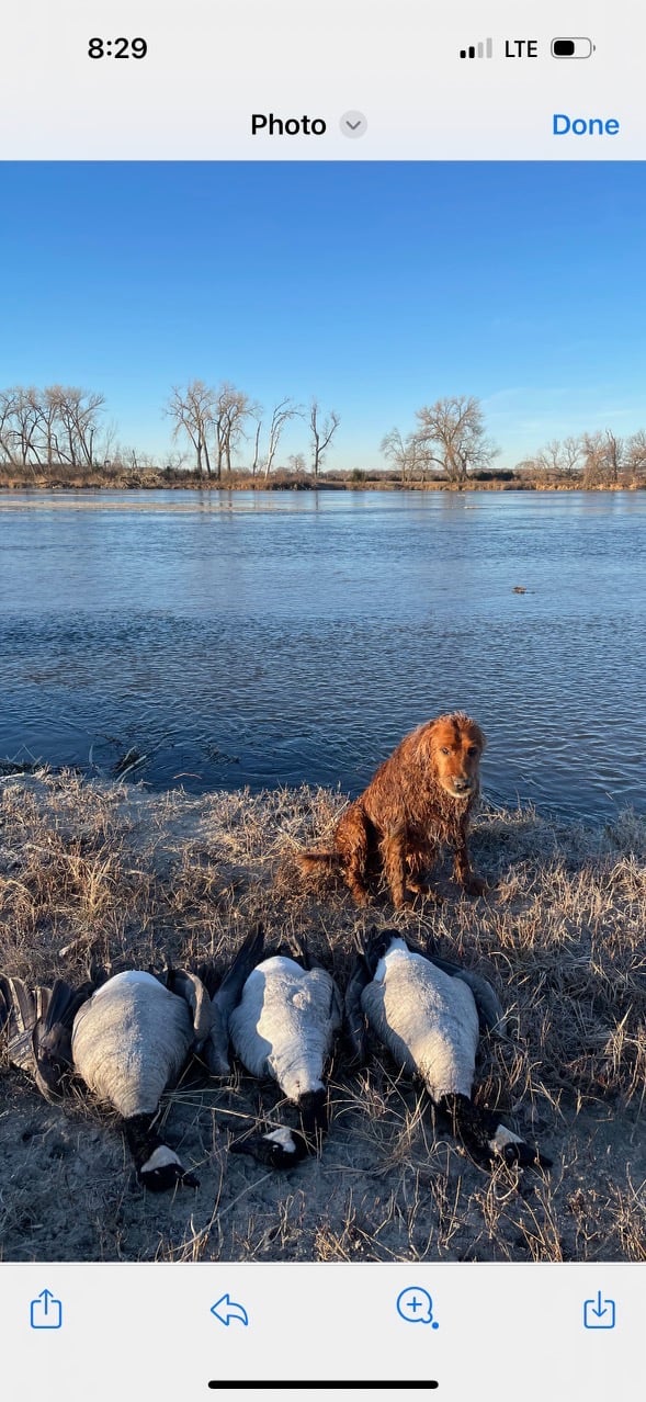 HLRBO Valley,Nebraska Hunting Lease 55,000.00 Per Year