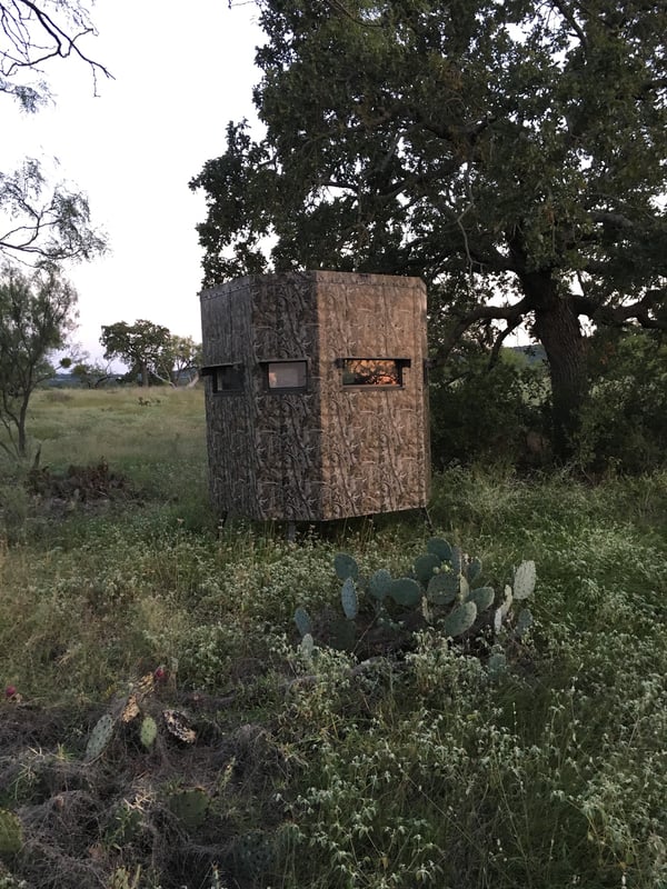 HLRBO Llano,Texas Hunting Lease 40,000.00 Per Season