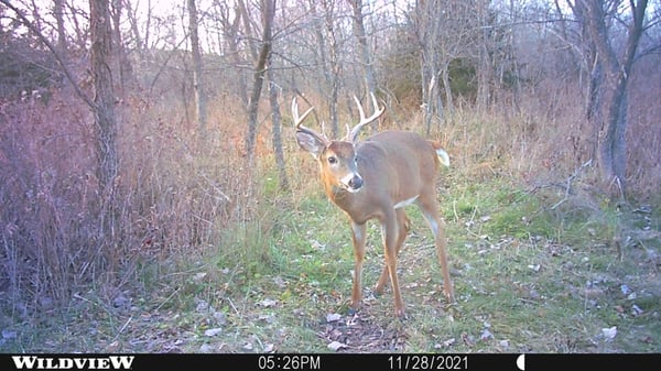 HLRBO Decatur,Iowa Hunting Lease 1,000.00 Per Year