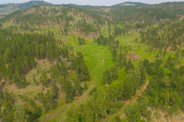 HLRBO Clay,South Dakota Hunting Lease 8,500.00 Per Year