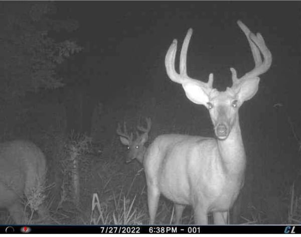 HLRBO Seward,Nebraska Hunting Lease 5,500.00 Per Week