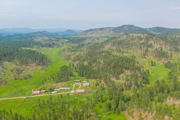 HLRBO Clay,South Dakota Hunting Lease 8,500.00 Per Year