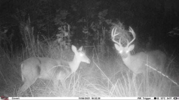 HLRBO Geneva,Alabama Hunting Lease 14,500.00 Per Year