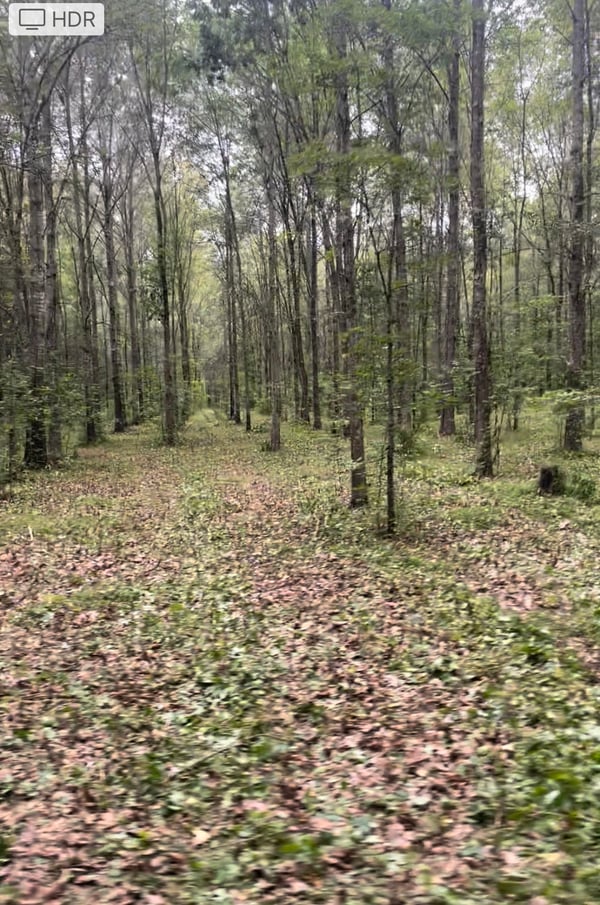 Hlrbo metcalfe kentucky hunting lease 2 400 00 per year