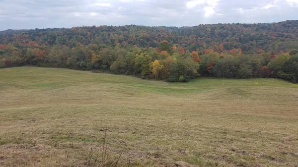 HLRBO Armstrong,Pennsylvania Hunting Lease 495.00 Per Week