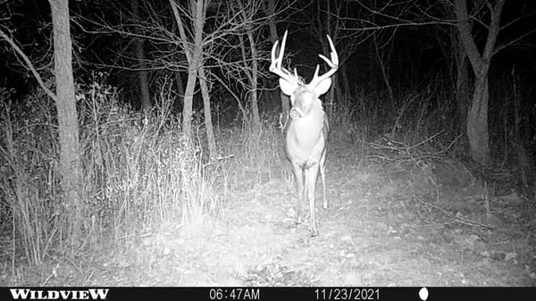 HLRBO Decatur,Iowa Hunting Lease 1,000.00 Per Year