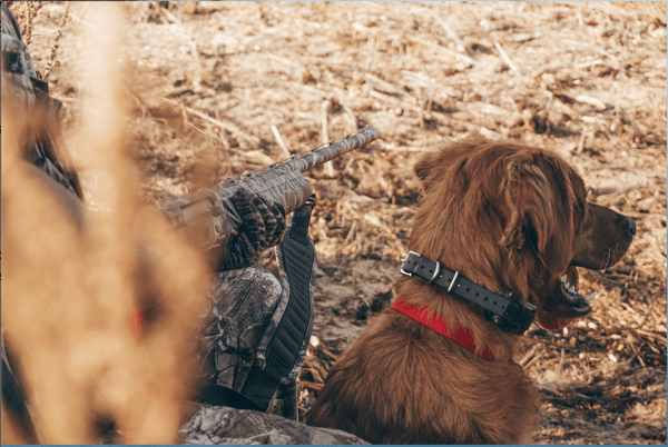 HLRBO Halifax,North Carolina Hunting Lease 2,000.00 Per Season