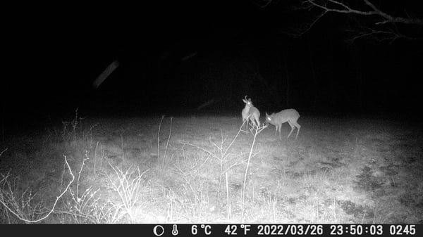 Arkansas Deer Season 2023 24 - 1jusfuy