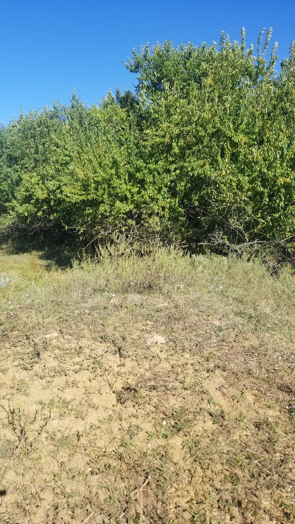 HLRBO Linn,Missouri Hunting Lease 1,000.00 Per Season