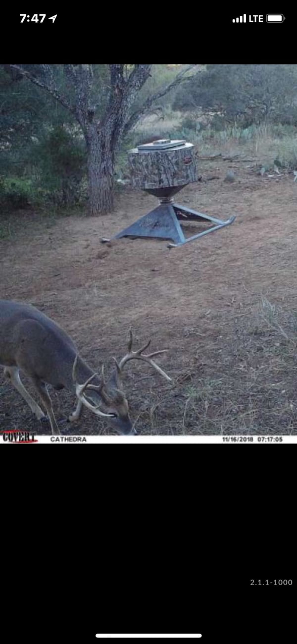 HLRBO Llano,Texas Hunting Lease 40,000.00 Per Season