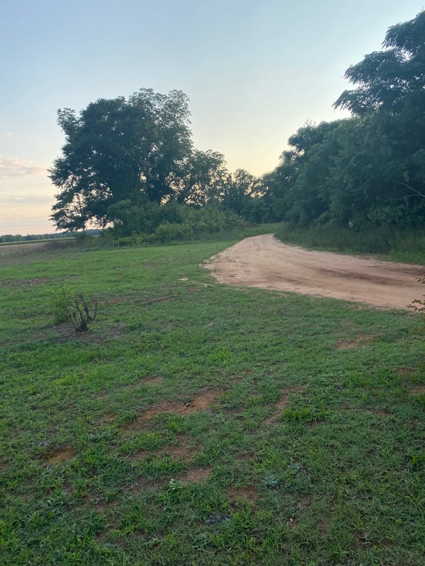 HLRBO Sumter,South Carolina Hunting Lease 25.00 Per Day