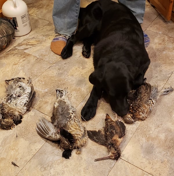 HLRBO Kalkaska,Michigan Hunting Lease 450.00 Per Day