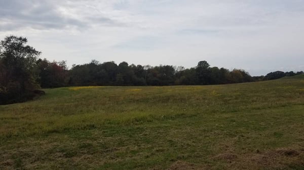 HLRBO Armstrong,Pennsylvania Hunting Lease 495.00 Per Week