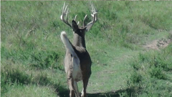 HLRBO Coshocton,Ohio Hunting Lease 1,495.00 Per Week