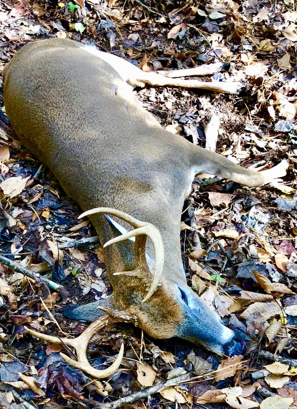 HLRBO Hunting Lease 300.00 Per Day